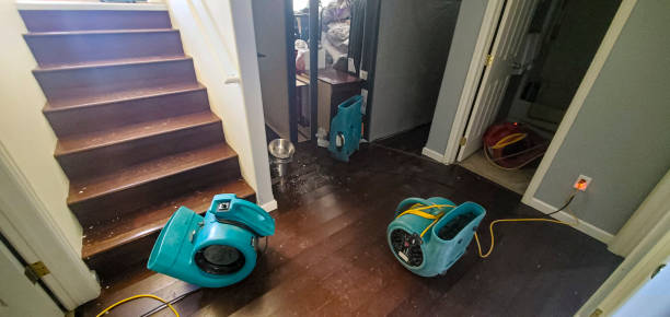 Best Water damage restoration near me  in Van Buren, MO