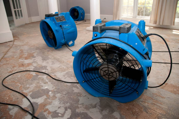 Carpet water damage restoration in Van Buren, MO