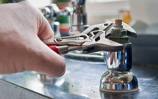 Best Flooded house restoration  in Van Buren, MO