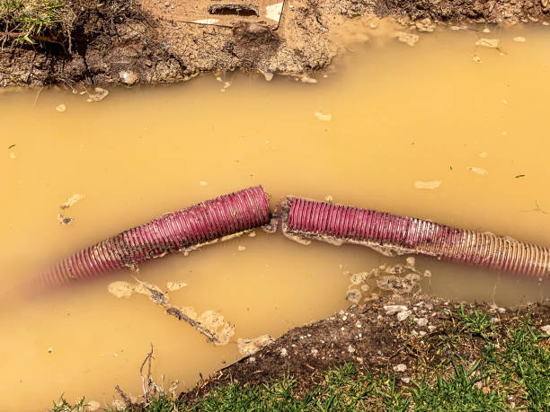 Best Basement water damage restoration  in Van Buren, MO