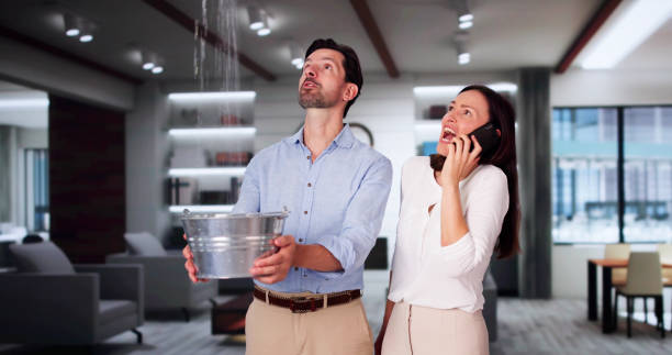 Reliable Van Buren, MO Water damage restoration Solutions